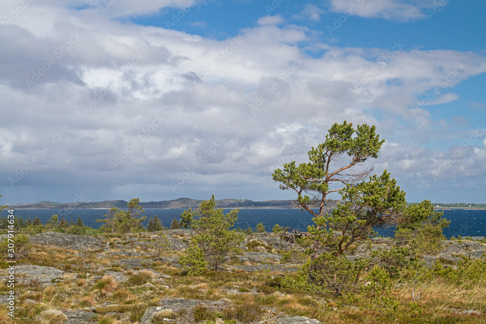 Moorlandschaft auf der Atlantikinsel Tustna Moorlandschaft auf der Atlantikinsel Tustna