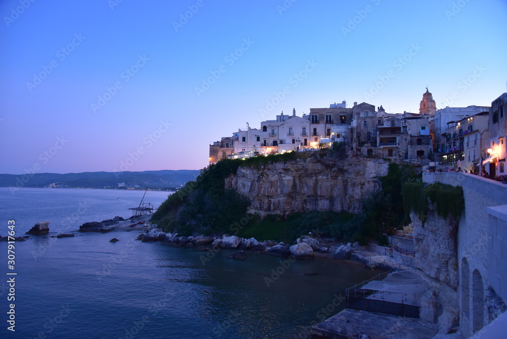 Vieste Seascape by Night with Illuminated City View