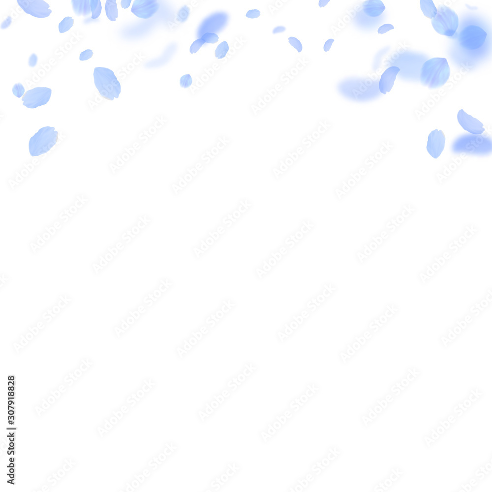 Dark blue flower petals falling down. Artistic rom Dark blue flower petals falling down. Artistic rom