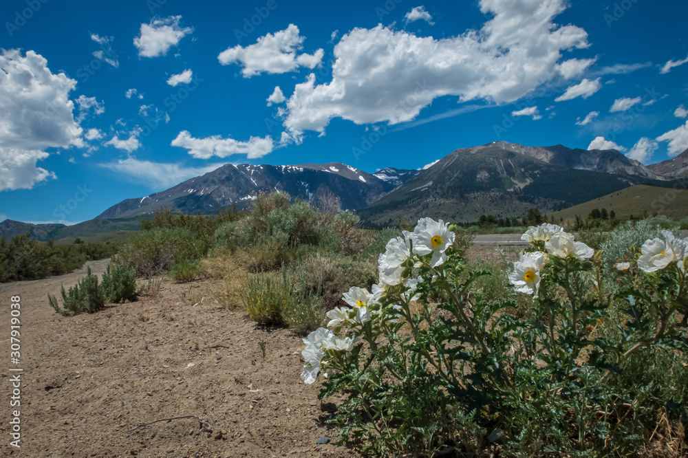 landscape with mountains and blue sky landscape with mountains and blue sky