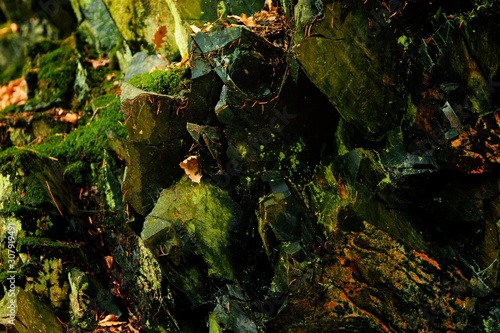 Uralte grüne Felsoberfläche mit geheimnisvoller Struktur im Bodetal im Harz