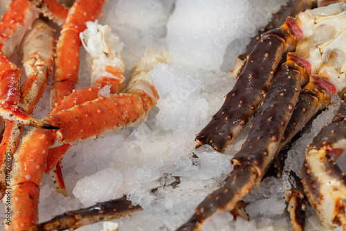 Crab legs sea food fresh mix on ice