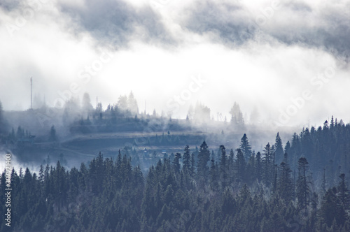 The view from the heights of the mountains and forests covered by fog