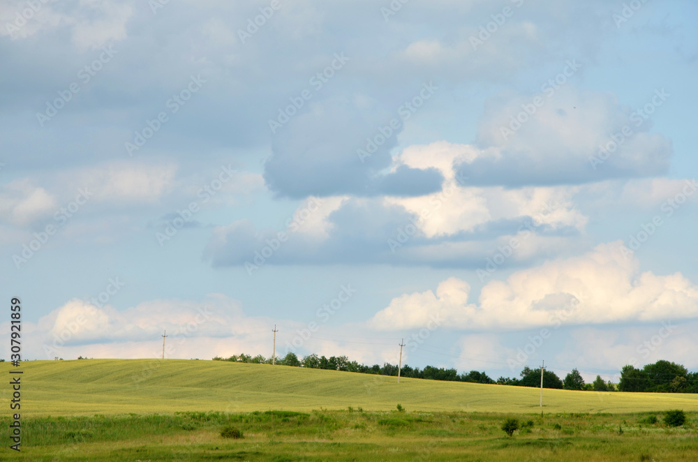  beautiful landscape with green meadows and blue sky