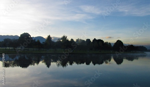 La sombra de algunos árboles del bosqu sobre el lago