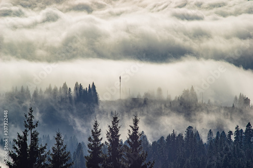The view from the heights of the mountains and forests covered by fog © onyx124