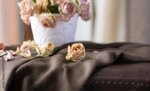 Dried roses on brown scarf.  Faded flowers photo