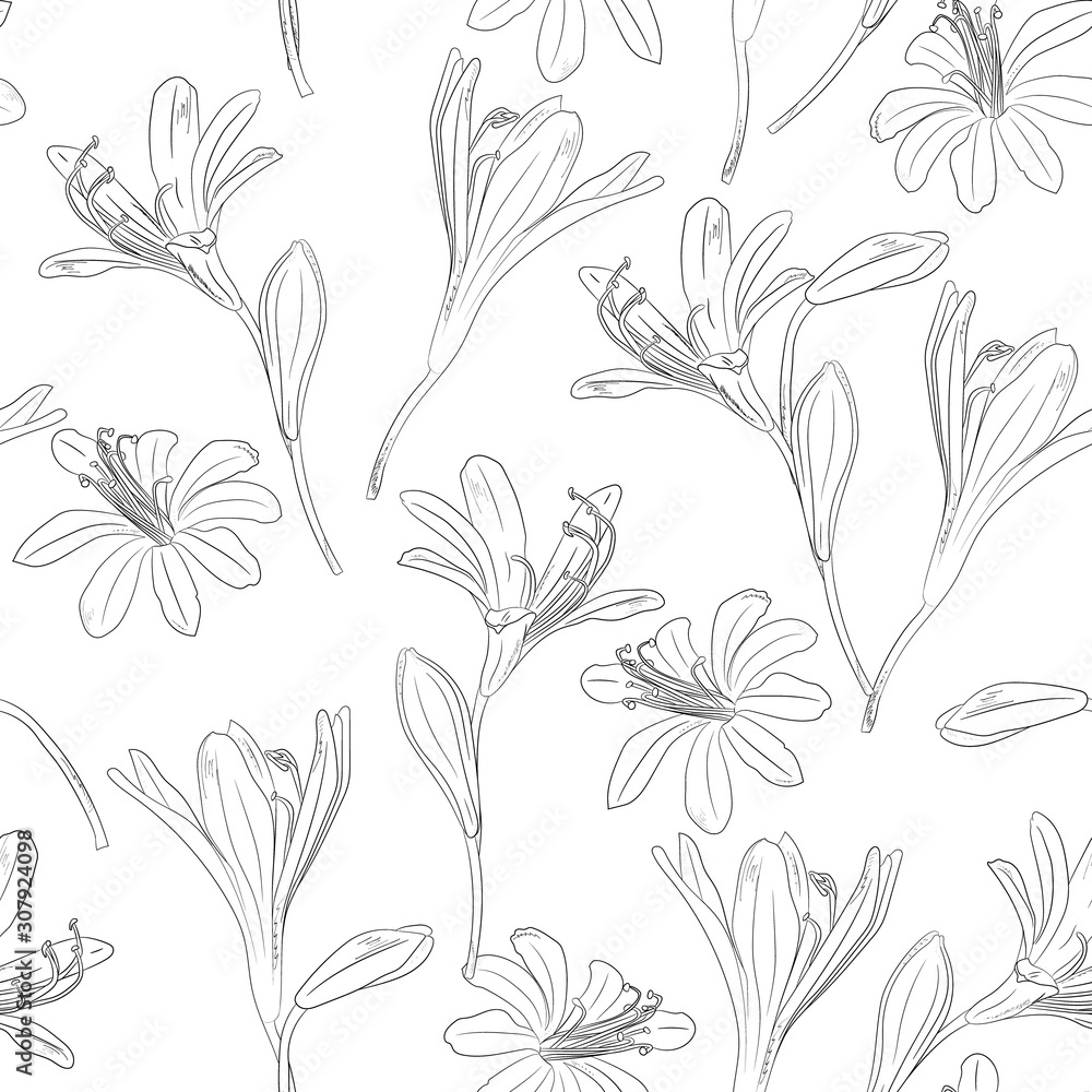 Elegant floral seamless pattern. Hand drawing, vintage background with flowers, sketch. For textiles, packaging, wrapper, fabric, wallpaper