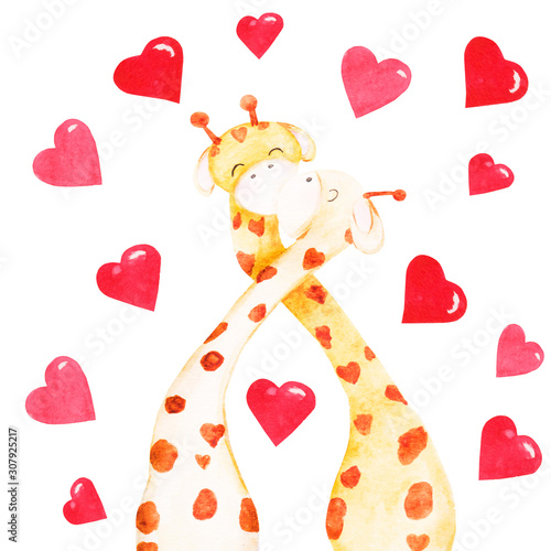 Photography Two hand-drawn watercolor kissing giraffes with hearts