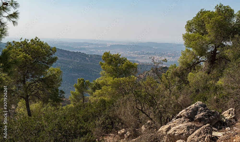 panoramic view of the martyrs forest and valley below from the scroll of fire memorial site near kesalon in the judaean mountains west of jerusalem in israel panoramic view of the martyrs forest and valley below from the scroll of fire memorial site near kesalon in the judaean mountains west of jerusalem in israel