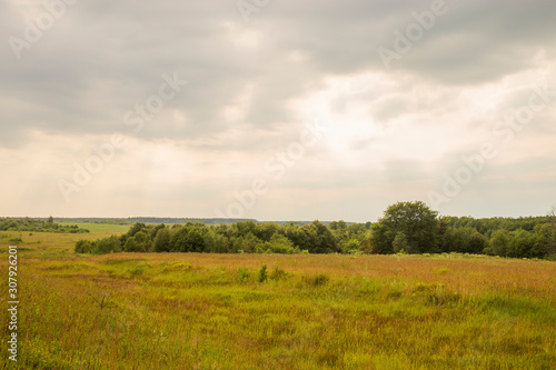 Natural scenery. A large wild meadow has a forest on the horizon. The weather is summer and cloudy. Ivanovo region, Russia.