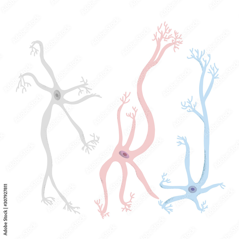 Neuron cells. Vector simple design illustartion. Neuron cells. Vector simple design illustartion.