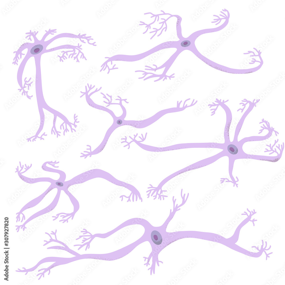 Neuron cells. Vector simple design illustartion. Neuron cells. Vector simple design illustartion.
