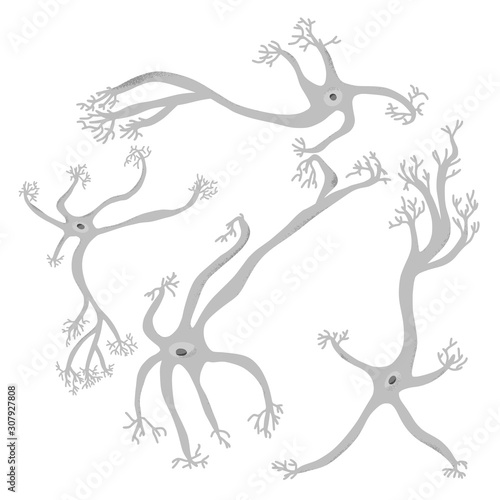 Neuron cells. Vector simple design illustartion.