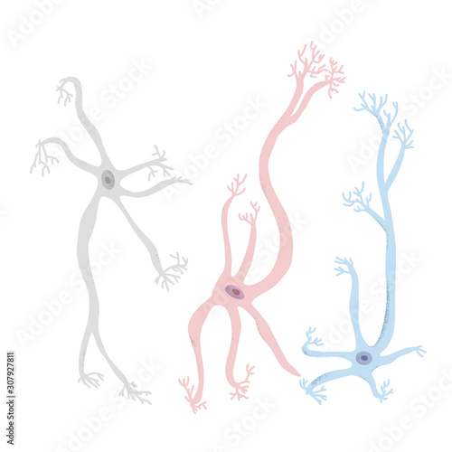 Neuron cells. Vector simple design illustartion.