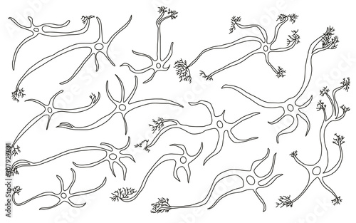 Neuron cells. Vector simple design illustartion.