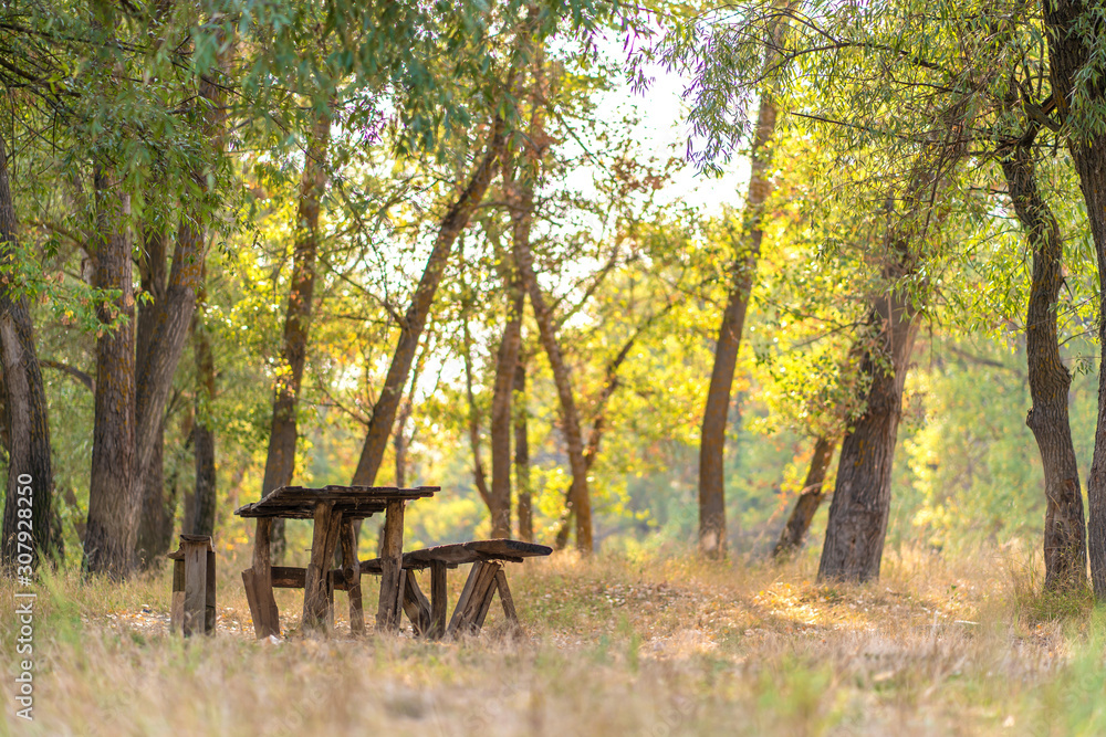 A table and two benches from a rough log house. Recreation area in the forest