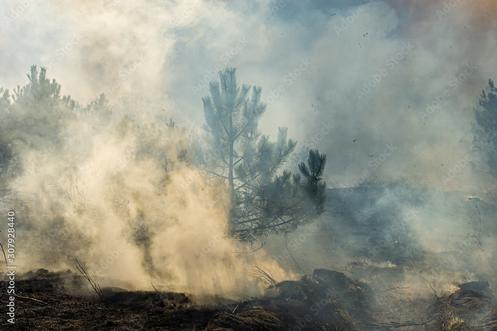 Fire in the Dnieper River floodplains, smoke pollutes the atmosphere. Fire in the Dnieper River floodplains, smoke pollutes the atmosphere.