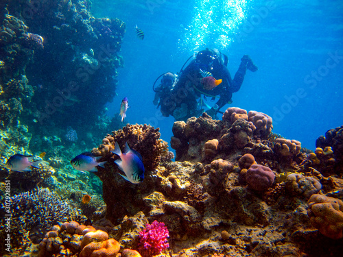 Fototapeta Naklejka Na Ścianę i Meble -  Man scuba diver and beautiful colorful coral reef underwater