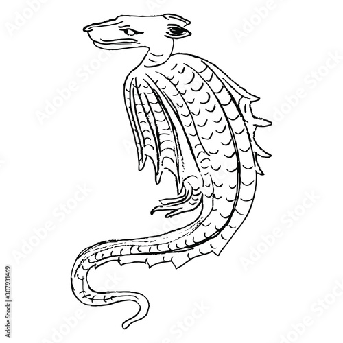 Fantastic dragon. Black and white silhouette, Hand drawn linear sketch.