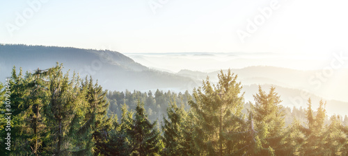 Amazing panorama background banner long from a fog landscape in the morning in black forest photo