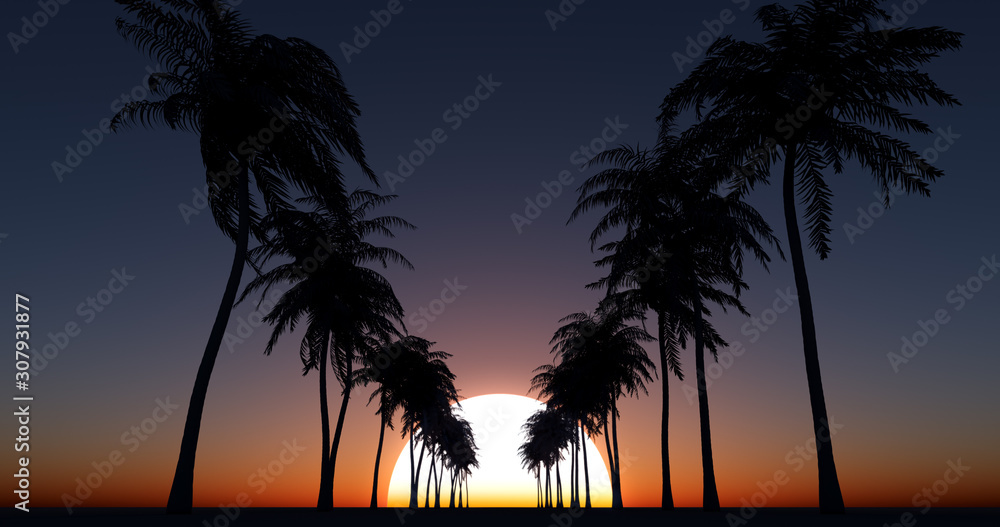 Fototapeta premium Coconut palm trees over sunset sky. Wide angle view. 3D render