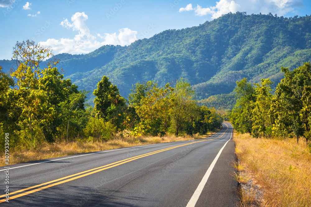 Road to the Mountain