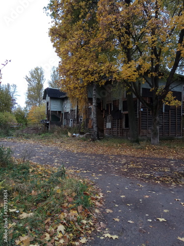 autumn in the park