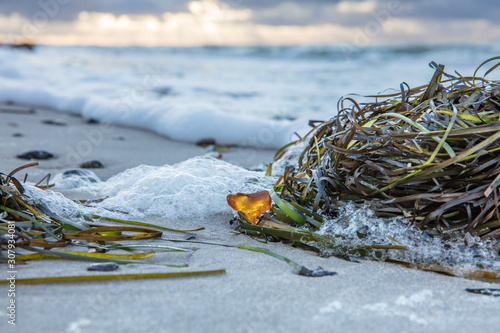 Fototapeta Naklejka Na Ścianę i Meble -  bernstein