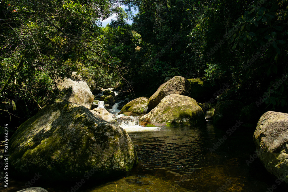 Fototapeta premium Mountain stream in the forest