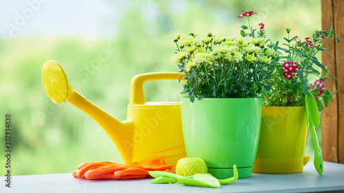 Garden tools with decorative summer flowers background,border