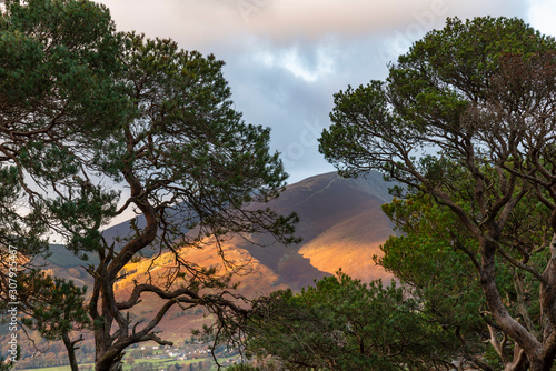 Majestic Autumn Fall landscape image of view from Castlehead in Lake District towards Skiddaw at sunset with beautiful lighting in sky photo