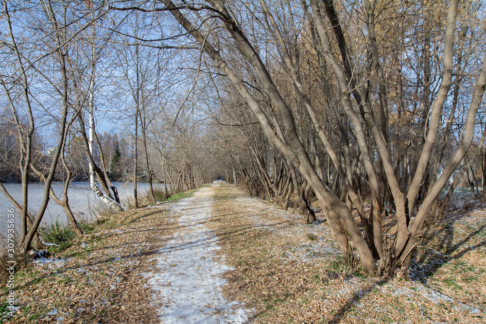 A path covered with snow passes along a frozen pond, late autumn A path covered with snow passes along a frozen pond, late autumn