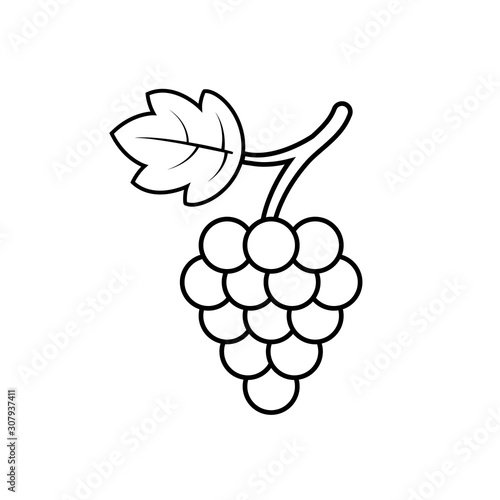 Grape with leaf icon outline vector. Wine logo. Graphic wine dessert symbol. Black grapevine icon on isolated background. Bunch of grape line style. Single vector illustration eps10