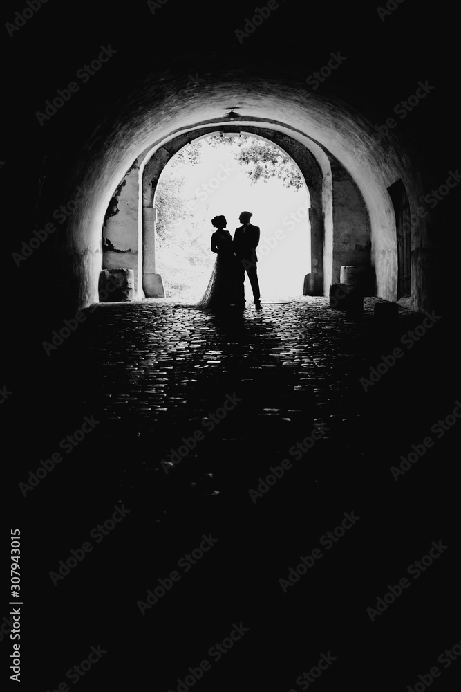 Silhouette of a bride and groom together