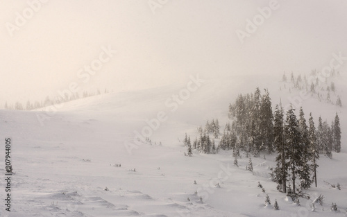 Snow-covered mountains with trees during a snowfall at the sunrise.