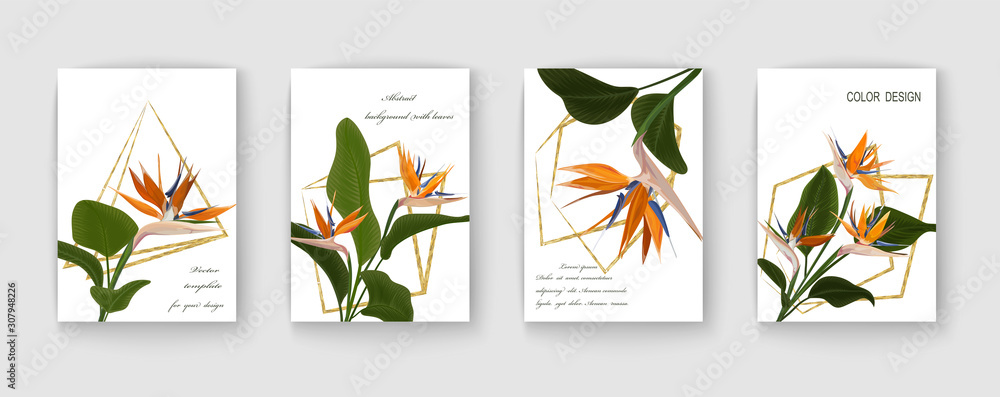 Wedding invitation with Strelitzia  flowers. Vector watercolor.  Vector illustration. 