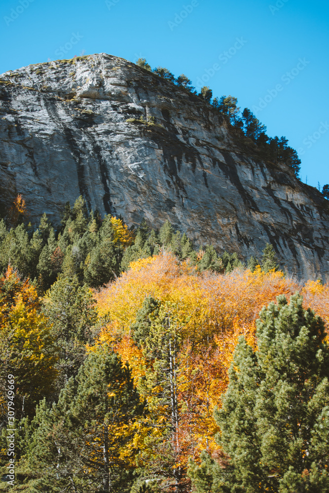 Autumn tones on the trees in Pyrenees during fall Autumn tones on the trees in Pyrenees during fall
