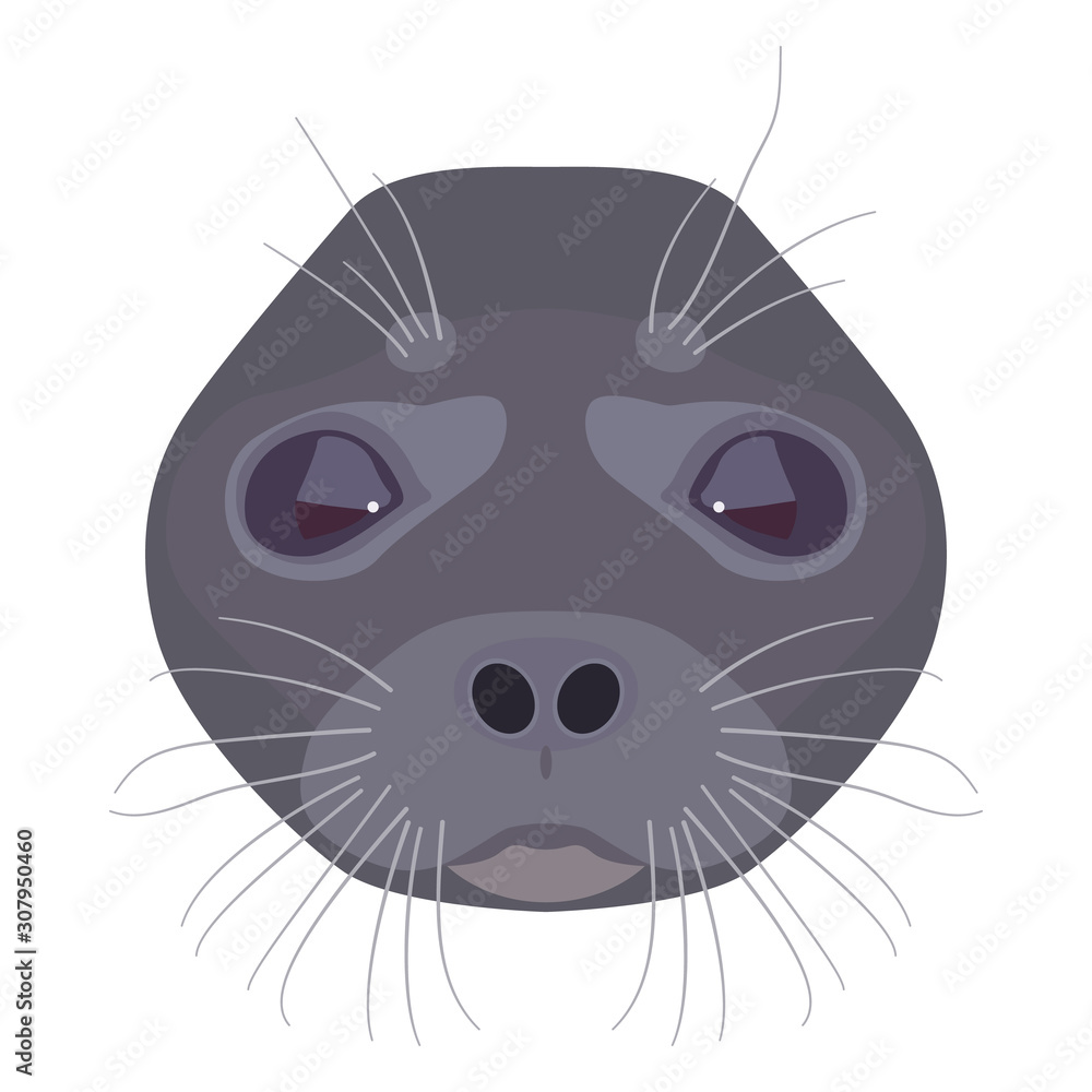 Stylized funny face of baby seal, Flat cartoon style. Stock Vector