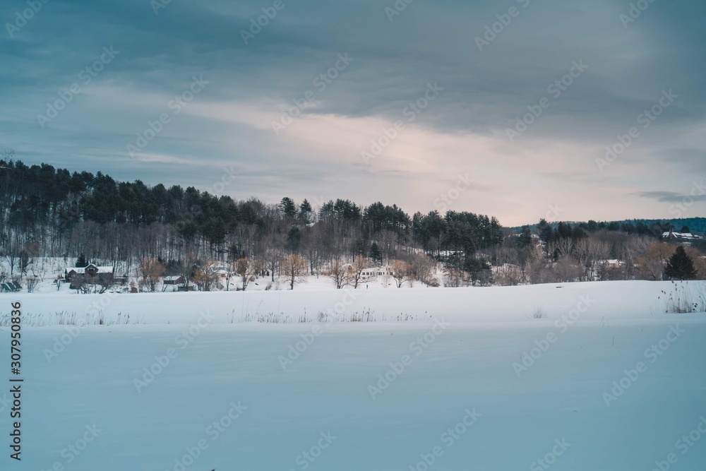 Naklejka premium Winter