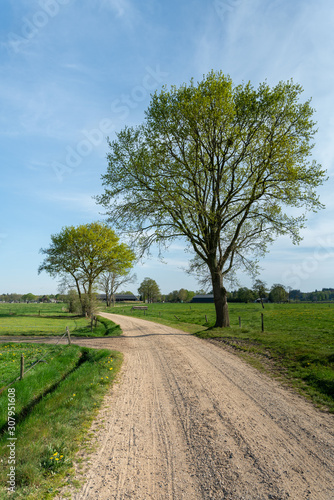 Dirt road leading through the outskirts of the Veluwe into the IJssel valley near Loenen  The Netherlands 