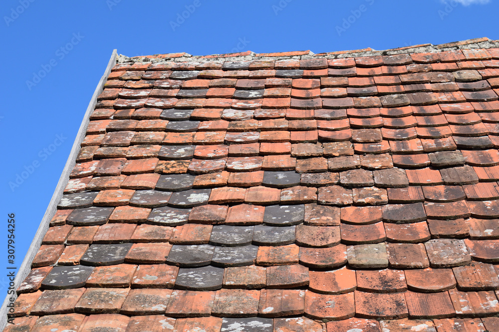 Old Terracotta Tiles on Sunny Roof 7024-042 Old Terracotta Tiles on Sunny Roof 7024-042