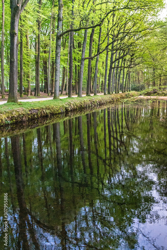Castle pond of Kasteel Ter Horst in Loenen  The Netherlands  lined with trees.