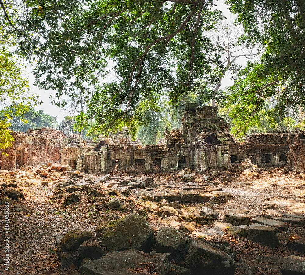 Od ruins of Preah Khan Temple with tropical trees growing among them, Siem Reap, Cambodia.