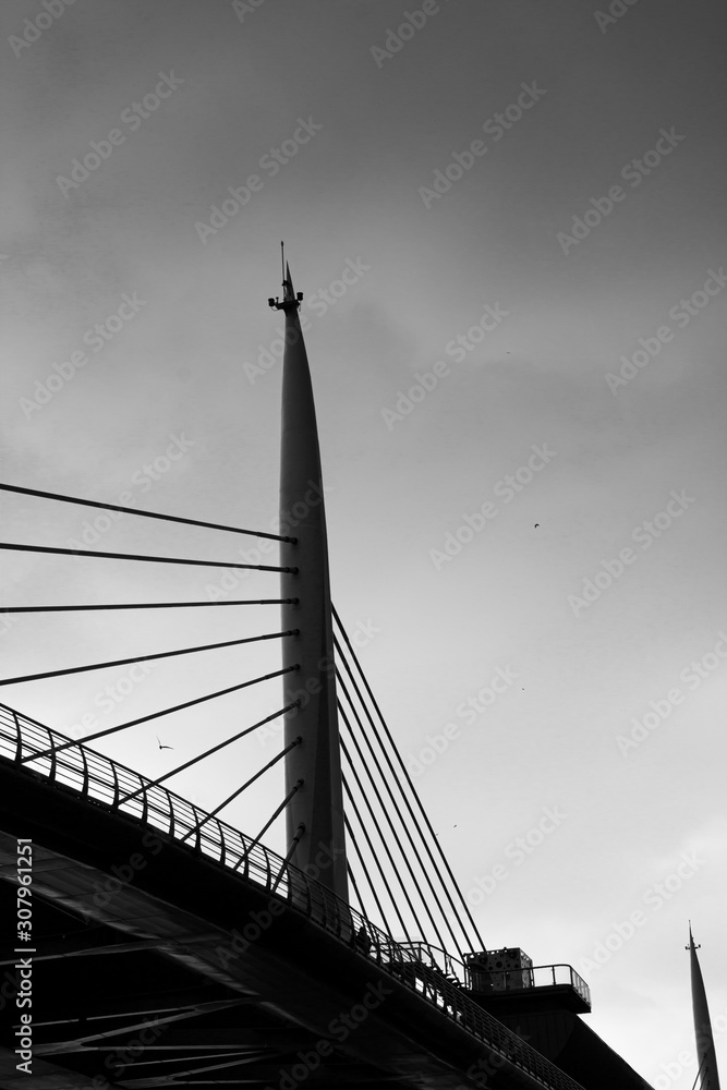 Naklejka premium Modern Bridge Architecture