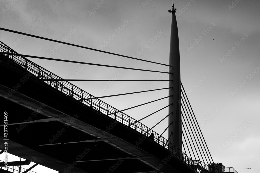Fototapeta premium Modern Bridge Architecture