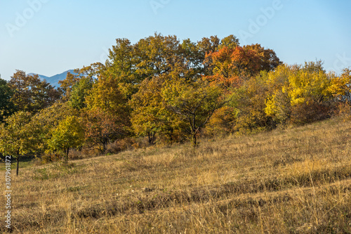 Autumn landscape of Cherna Gora mountain, Bulgaria