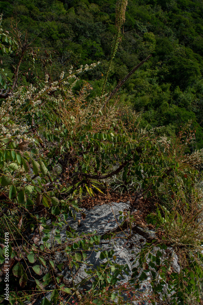 Obraz premium piedra de juluapan