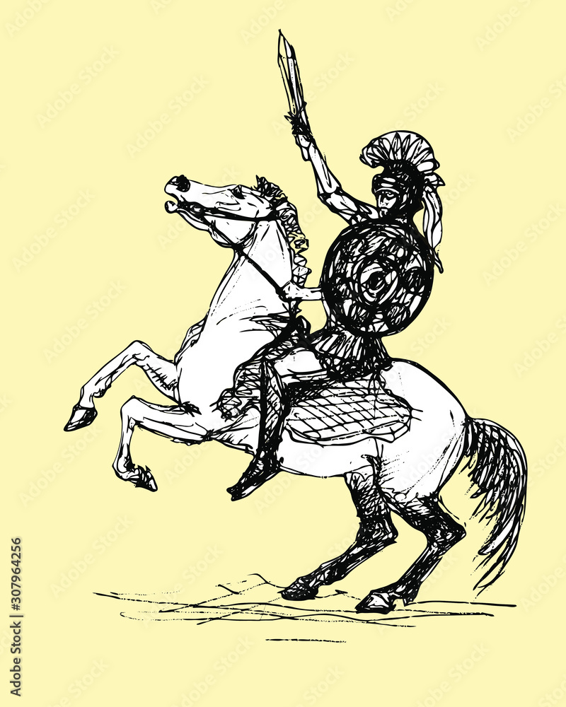 Fototapeta premium antique rider with sword, graphics, vector image isolated monochrome pen drawing on colored background 