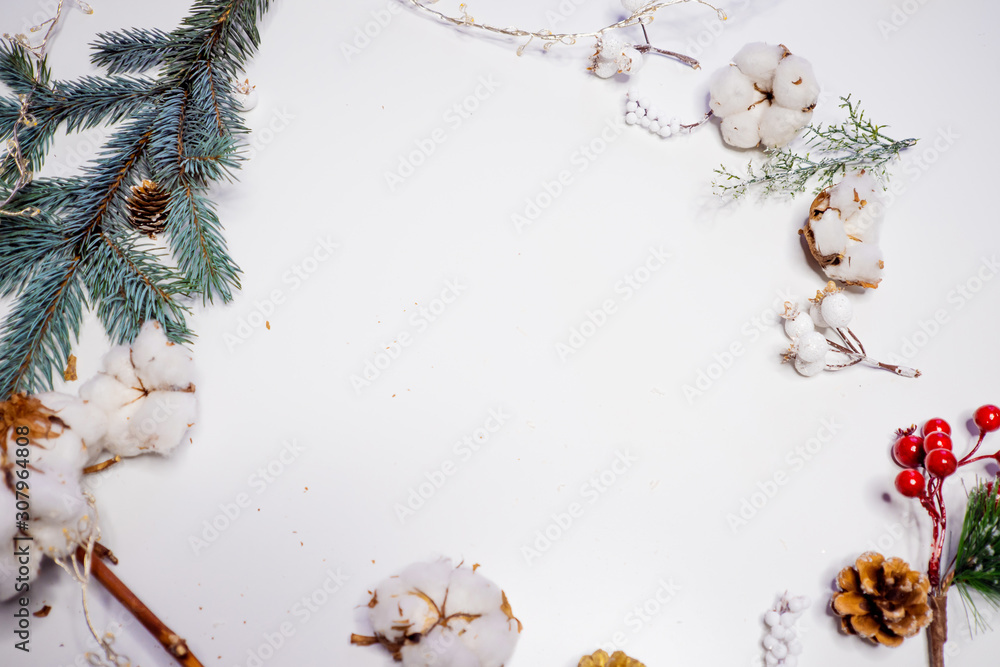 Festive winter flat lay. Snow, cones and branches of a green Christmas tree on a white background